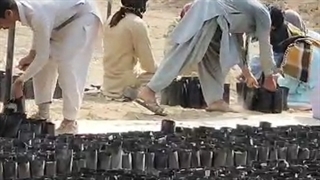 زمان بر بودن و سختی پرکردن دستی کیسه های کشت نهال