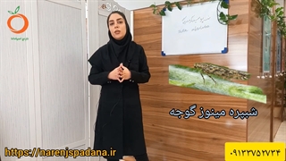 آفت شب پره مینوز برگ گوجه فرنگی و راه مبارزه با آن چیست