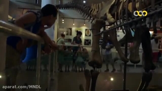 سرزمین عجایب فسیل ها با دوبله فارسی - قسمت 2