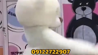 عروسک تن پوش