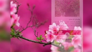 مراکز فروش نهال ویژه روز درختکاری