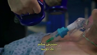 گل باغچه