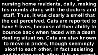 داستان انگلیسی: مرگ نزدیک است - آکادمی روان