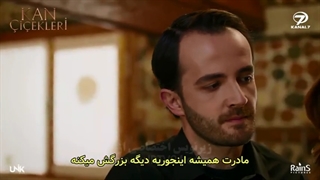گل باغچه62