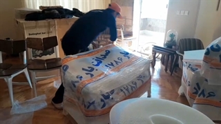 بسته بندی اثاثیه منزل در موسسه باربری صداقت بار