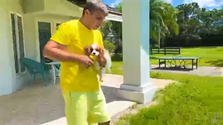 Nastya takes care of her puppy and kittens