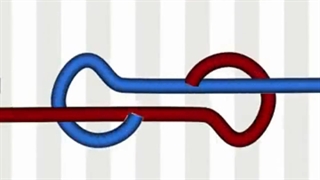 آشنایی با انواع مدل های مختلف گره طناب با آنی حامی Ani Hami