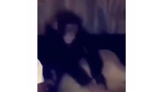 فقط پس گردنی که میزنه