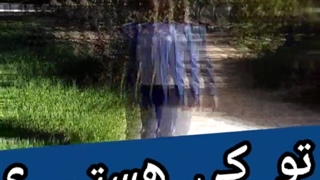 کارنامه اجتماعی هویت