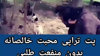 محبت خالصانه