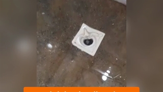 لوله بازکنی کرج