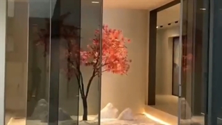 درب اتوماتیک شیشه ای تلسکوپی