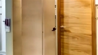 درب چوبی تاشو