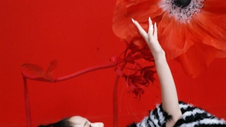 اولین ویژوال تیزر سولو دبیو جیسو