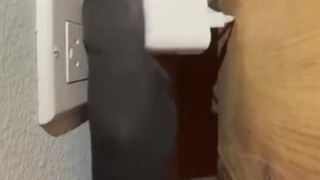 خدایی این حقه گپشن خوانده شود-720p