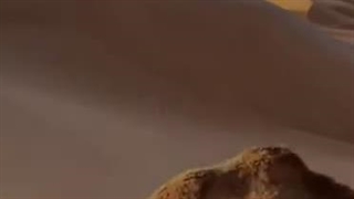 و به دنیای پیرامون خود نمی نگرید آیا؟؟!!«أَ فَلا یَنْظُرُونَ إِلَى الْإِبِلِ …»(ایه ۱۷تا۲۰سوره غاشیه)
