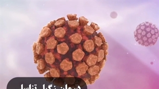 عوامل تاثیرگذار در زگیل تناسلی