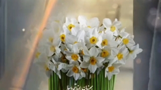 قرائت همگانی دعای فرج (الهی عظم البلاء) امام زمان(عج)