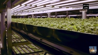 برشی از مستند کشاورزی عمودی