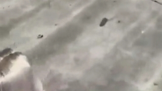 اینم از زندگی،آزادی و شرافت زن در جامعه غربی