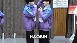 یه هائوبین دیگهه