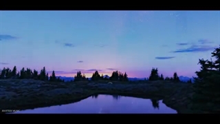 Alan Walker Style  , Jeotter Music  -  TREASON ( New Music 2023 )