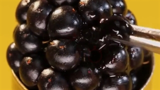 روش کاشت و پرورش و آبیاری گل و گیاه و قارچ و میوه با آنی حامی Ani Hami