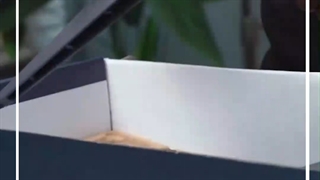 انباکس استارلینک