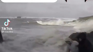 عمیقا مگومی رو درک میکنم و انس خاصی باهاش دارم (پاره شدن از خنده)