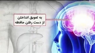 فایده روزه گرفتن و اعتراف دانشمندان علوم اعصاب آمریکا