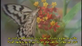 از کجا آمده ام؟ پیش پرده 2 رمزگشایی از راز زندگی