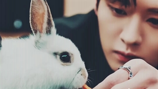 ادیت از استری کیدز