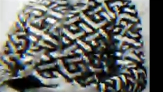 آهنگ وفاسیز عشقیم اوریم توتولور هارا گدین