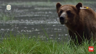 رخنه در اسرار ؛ 2021 ؛ فصل 60 ؛ قسمت 7