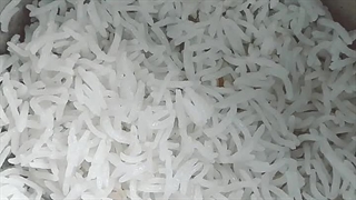 برنج بینام کشت دوم درجه1