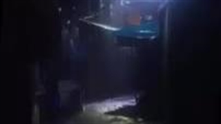 ادیت خودمه می شه حمایت کنی؟