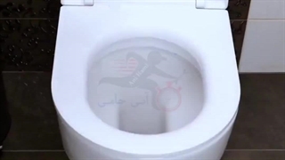 ترفند بهداشت و پاکیزگی سرویس های بهداشتی با آنی حامی Ani Hami