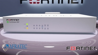 تحلیل و آنالیز فورتی گیت سری 80F