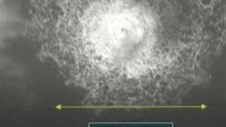 العثور على جسم غامض فی قاع البحر قد یفضح مُرتکب تفجیر "نورد ستریم 2"