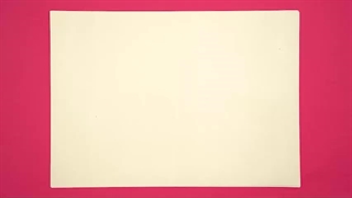 فرزند ایران | «ایران و این زنان باسواد و نابغه‌اش، سیمین دانشور»