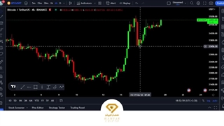 آموزش جامع معامله فروش در صرافی نوبیتکس