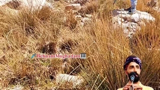 هع شیری سوزه اجرای زنده لکی بهنام مقدم»