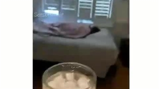 خستمه، حوصلم ....