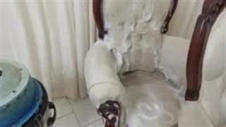 مبل شویی در شهرزیبا