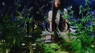 ᴊɪꜱᴏᴏ / ꜰʟᴏᴡᴇʀ