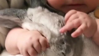 خرگوشه چقدر بزرگه