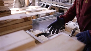 ویدیو فرایند ساخت پالت یورو (EPAL)