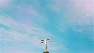 ♡´･ᴗ･`♡jk