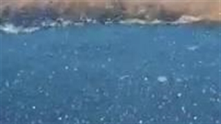 ساحل نقره ای 