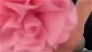 چالش اهنگ فلاور قبل از اجرا کپشن